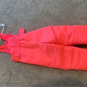 Cat and Jack toddler snow pants